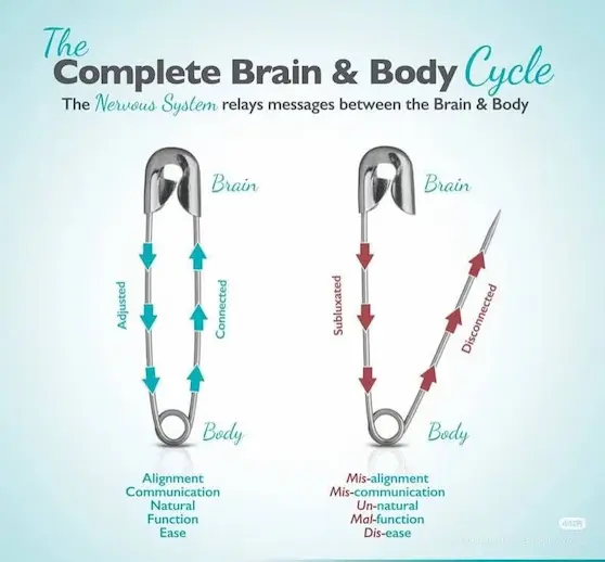 Spinal adjustment illustration with two paper clips – one closed representing a healthy nerve system, the other open showing misalignment – Angel Chiro Annerley Brisbane.