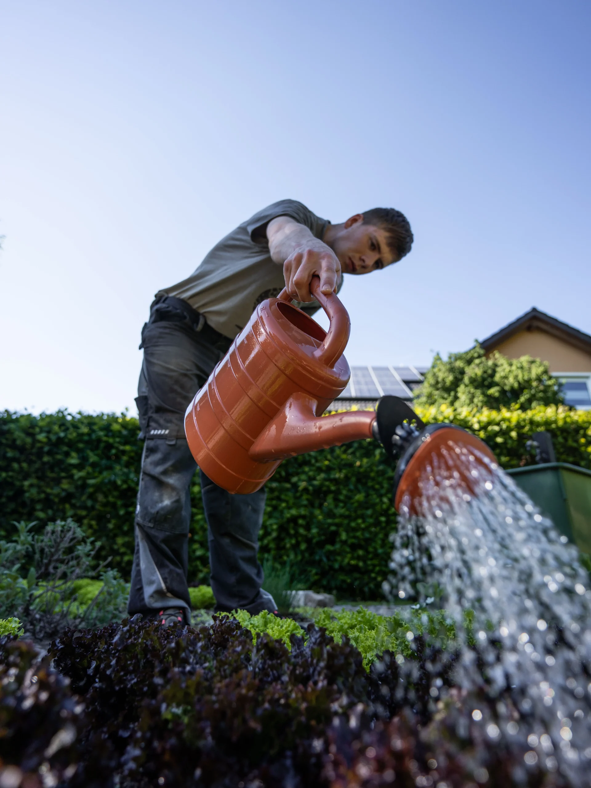 Back Pain After Gardening: Why It Happens and What You Can Do